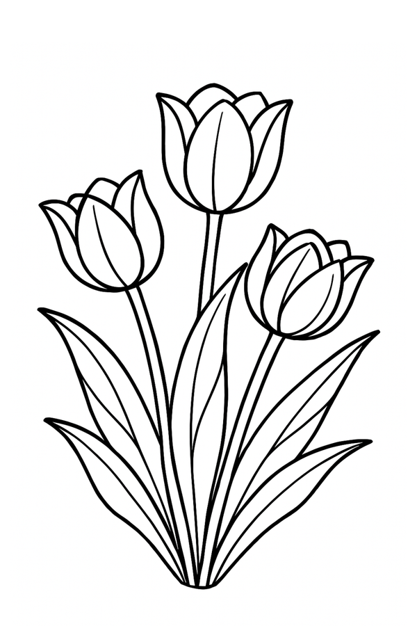Ontwerp 048