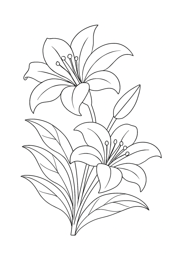 Ontwerp 050