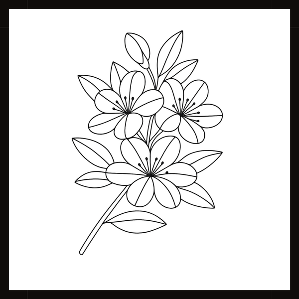 Ontwerp 004