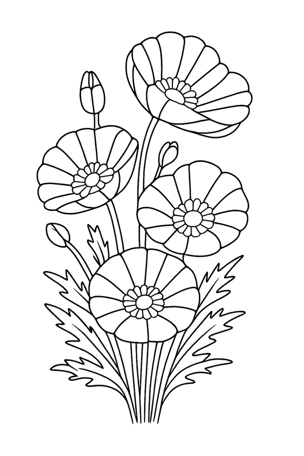 Ontwerp 045