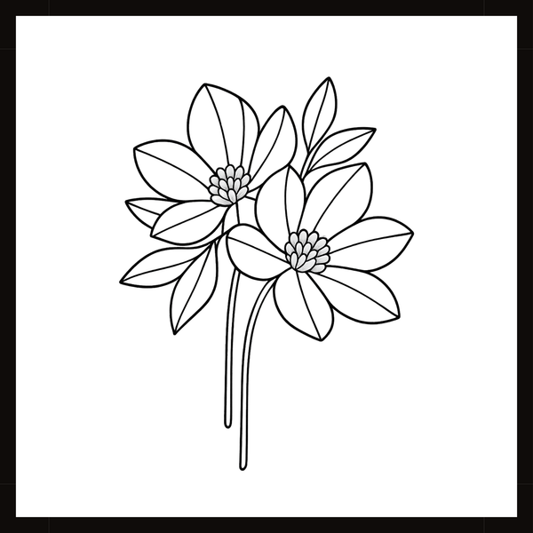 Ontwerp 020