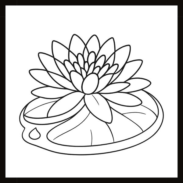 Ontwerp 017
