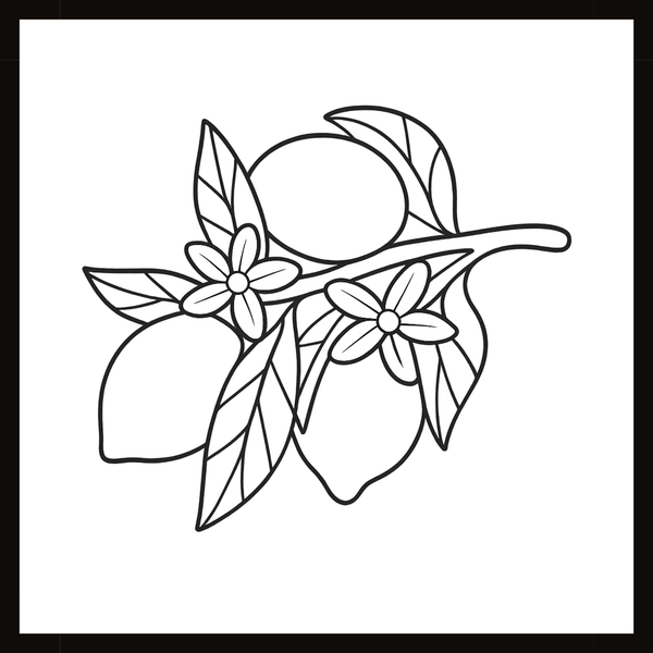Ontwerp 002