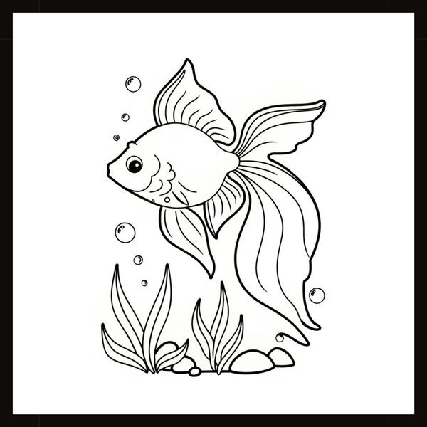 Ontwerp 024